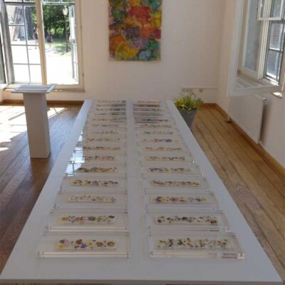 Ausstellung Grevenbroich